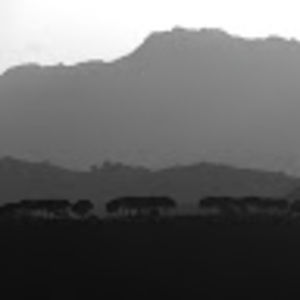 Meet your Posher, Craig